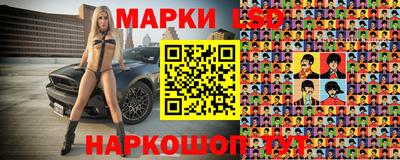 эйфоретик Донской