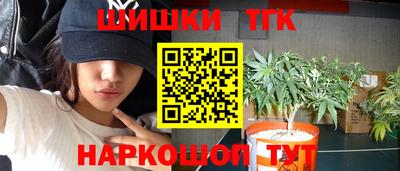 спиды Дубна