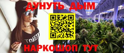 спиды Дубна